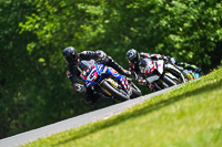 brands-hatch-photographs;brands-no-limits-trackday;cadwell-trackday-photographs;enduro-digital-images;event-digital-images;eventdigitalimages;no-limits-trackdays;peter-wileman-photography;racing-digital-images;trackday-digital-images;trackday-photos